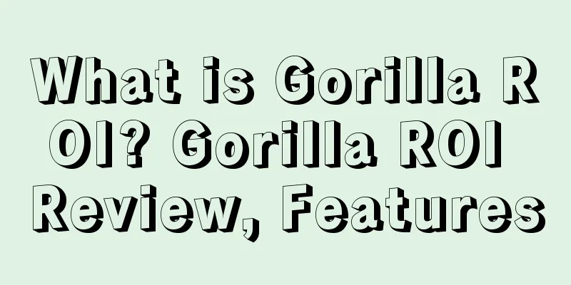 What is Gorilla ROI? Gorilla ROI Review, Features