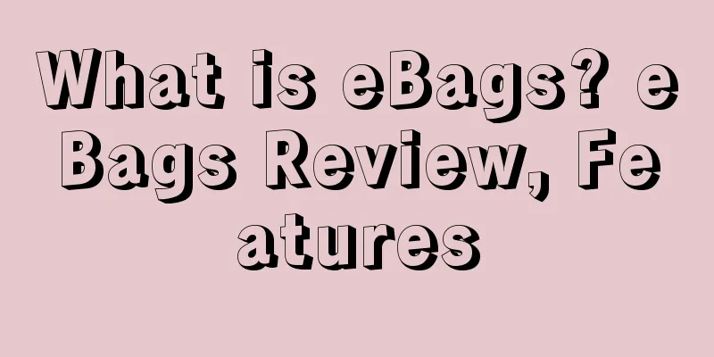 What is eBags? eBags Review, Features