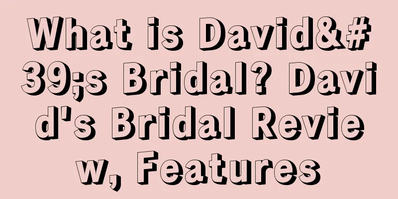 What is David's Bridal? David's Bridal Review, Features