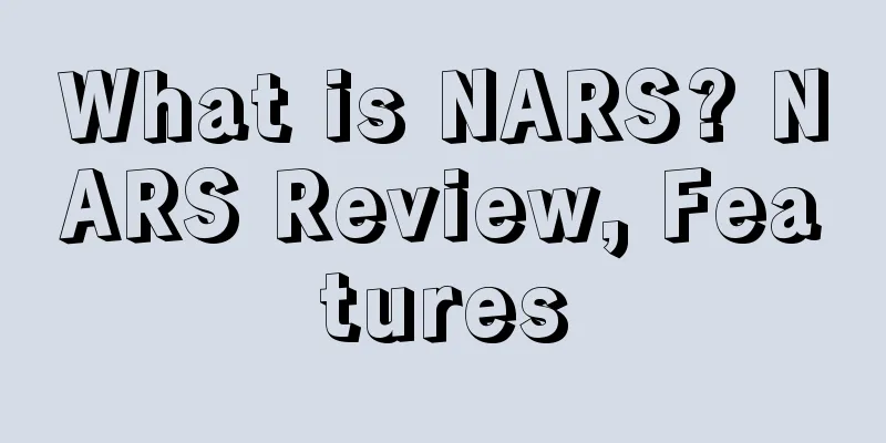 What is NARS? NARS Review, Features