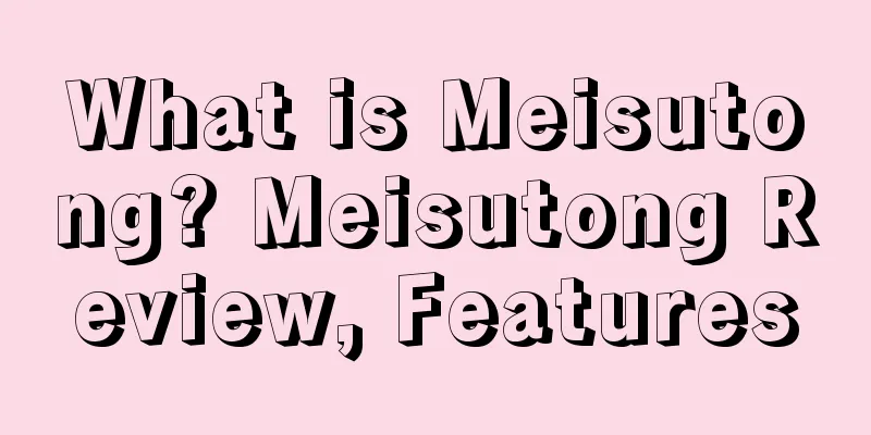 What is Meisutong? Meisutong Review, Features