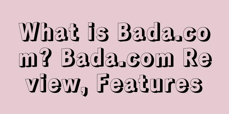 What is Bada.com? Bada.com Review, Features