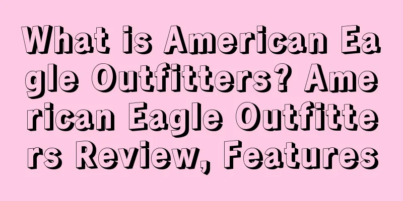 What is American Eagle Outfitters? American Eagle Outfitters Review, Features