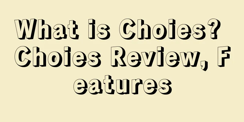 What is Choies? Choies Review, Features