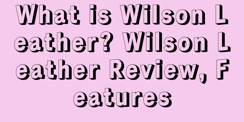 What is Wilson Leather? Wilson Leather Review, Features