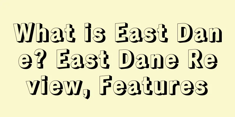 What is East Dane? East Dane Review, Features