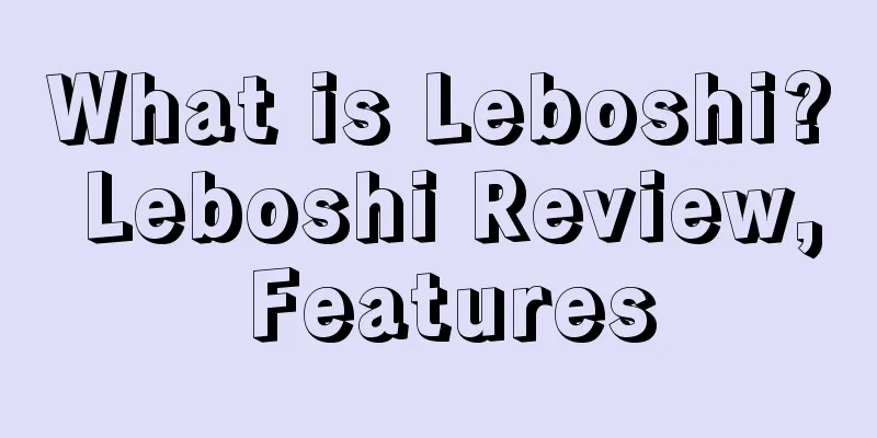 What is Leboshi? Leboshi Review, Features
