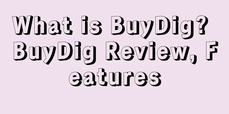 What is BuyDig? BuyDig Review, Features