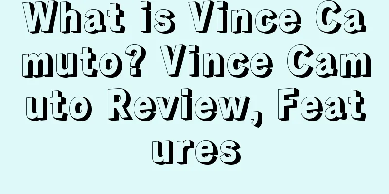 What is Vince Camuto? Vince Camuto Review, Features
