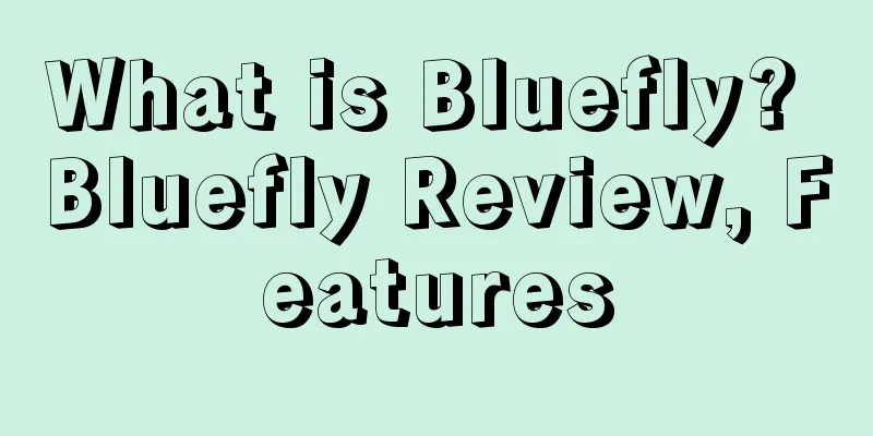 What is Bluefly? Bluefly Review, Features