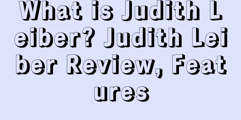 What is Judith Leiber? Judith Leiber Review, Features