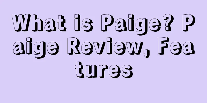 What is Paige? Paige Review, Features