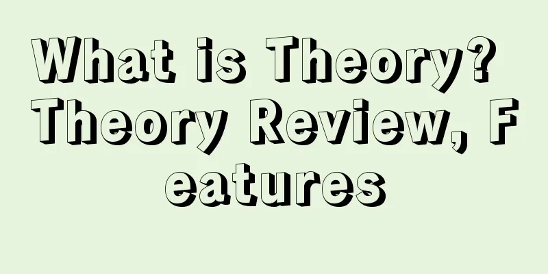 What is Theory? Theory Review, Features