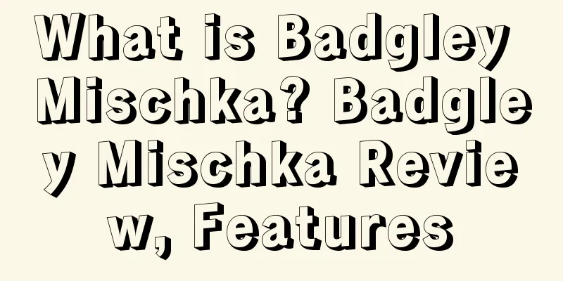 What is Badgley Mischka? Badgley Mischka Review, Features