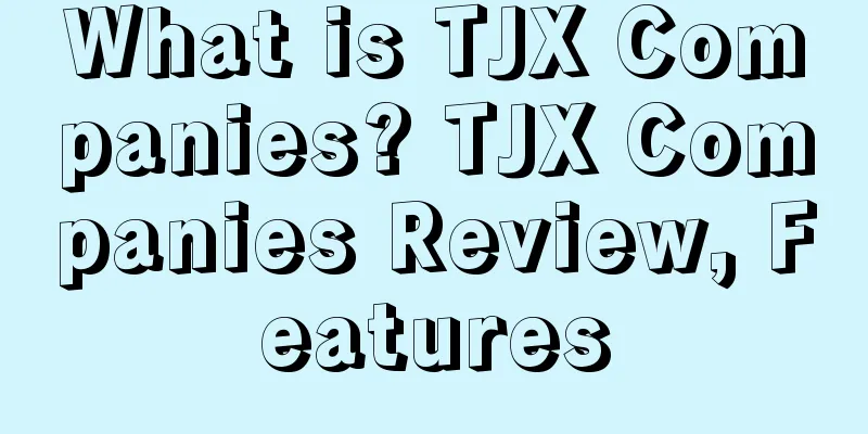 What is TJX Companies? TJX Companies Review, Features