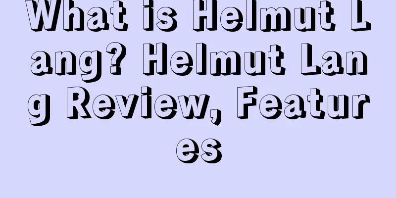 What is Helmut Lang? Helmut Lang Review, Features