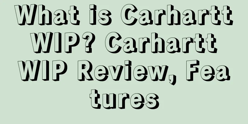 What is Carhartt WIP? Carhartt WIP Review, Features