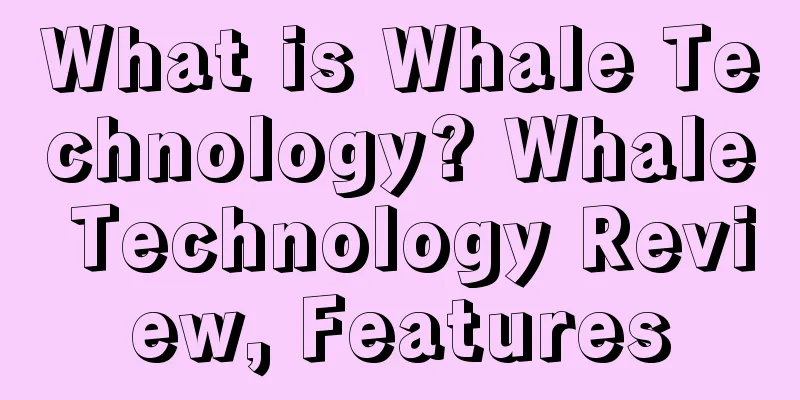 What is Whale Technology? Whale Technology Review, Features