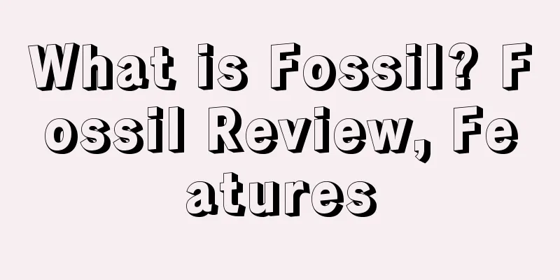What is Fossil? Fossil Review, Features