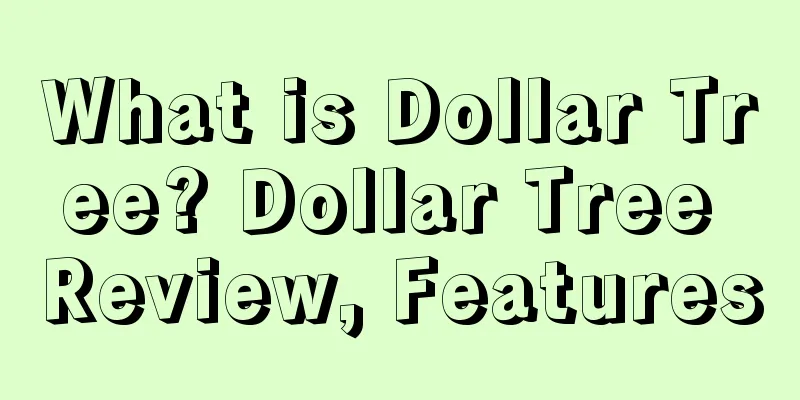 What is Dollar Tree? Dollar Tree Review, Features