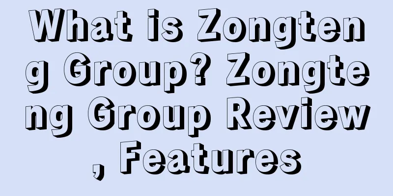 What is Zongteng Group? Zongteng Group Review, Features