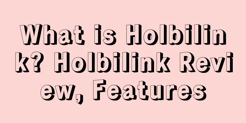 What is Holbilink? Holbilink Review, Features