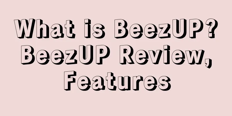 What is BeezUP? BeezUP Review, Features