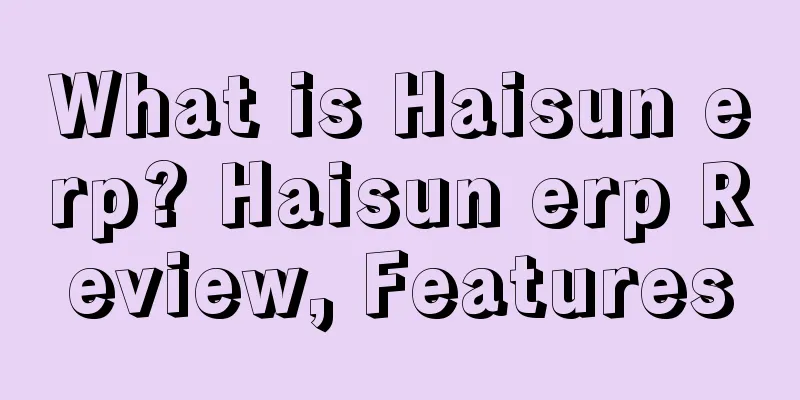 What is Haisun erp? Haisun erp Review, Features