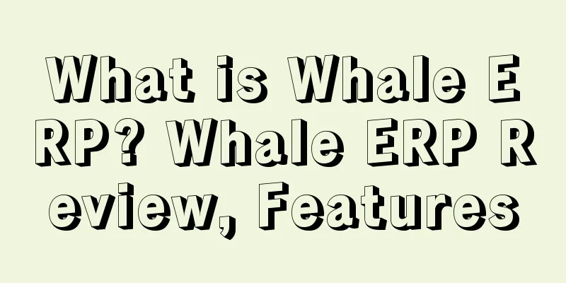 What is Whale ERP? Whale ERP Review, Features