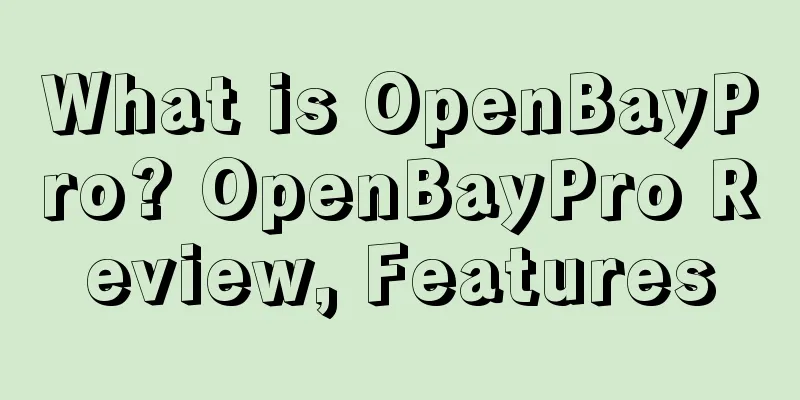 What is OpenBayPro? OpenBayPro Review, Features