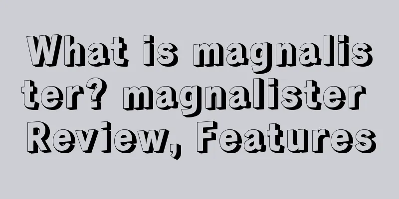 What is magnalister? magnalister Review, Features