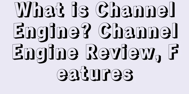What is ChannelEngine? ChannelEngine Review, Features