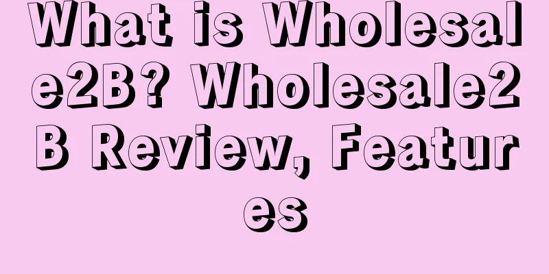 What is Wholesale2B? Wholesale2B Review, Features