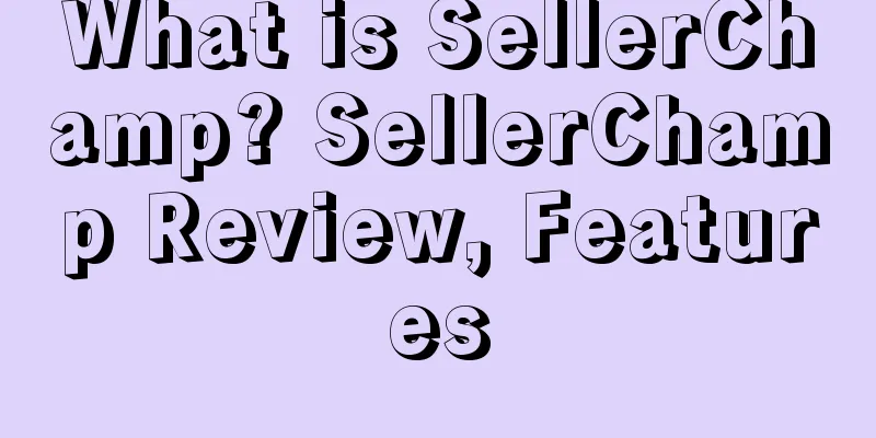 What is SellerChamp? SellerChamp Review, Features