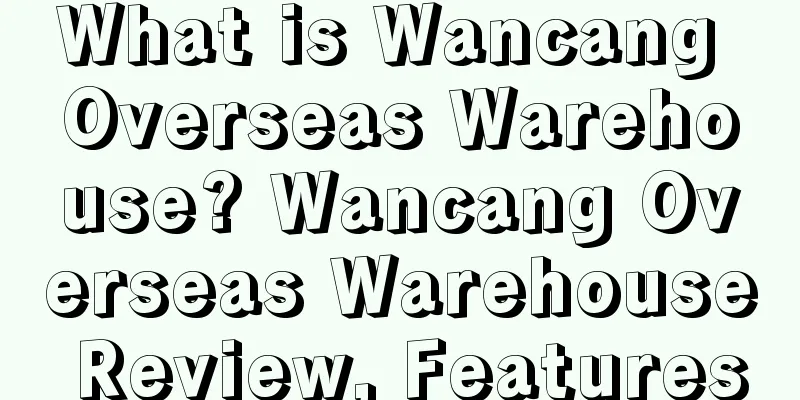 What is Wancang Overseas Warehouse? Wancang Overseas Warehouse Review, Features