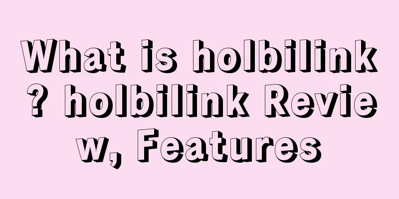 What is holbilink? holbilink Review, Features