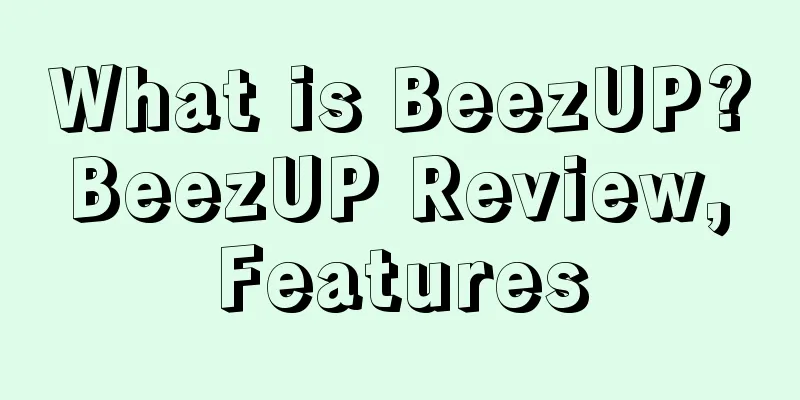 What is BeezUP? BeezUP Review, Features