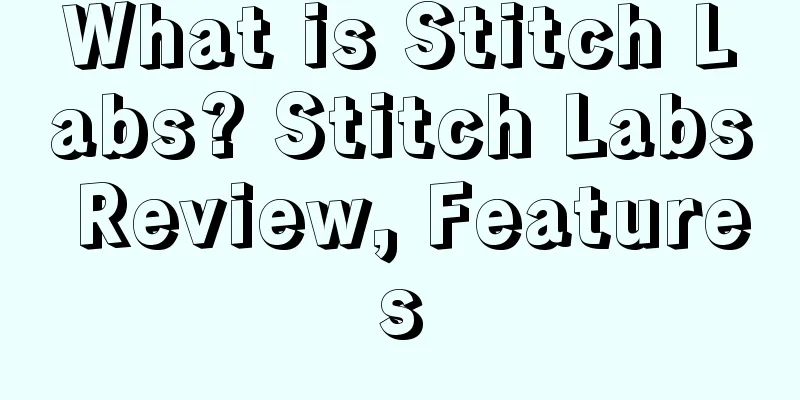 What is Stitch Labs? Stitch Labs Review, Features
