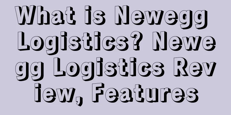 What is Newegg Logistics? Newegg Logistics Review, Features
