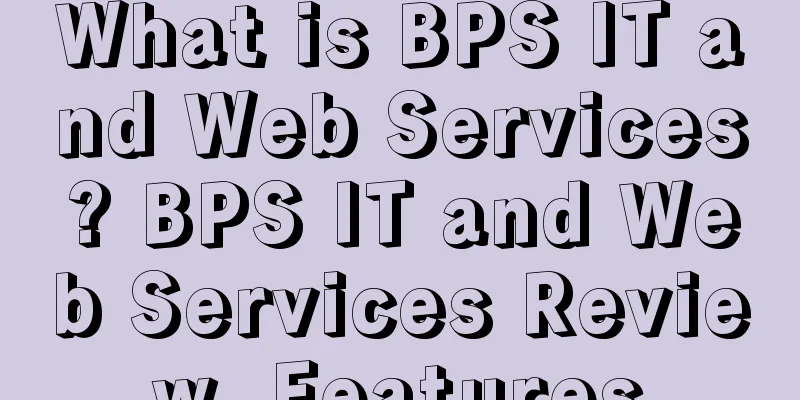 What is BPS IT and Web Services? BPS IT and Web Services Review, Features