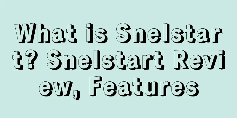 What is Snelstart? Snelstart Review, Features
