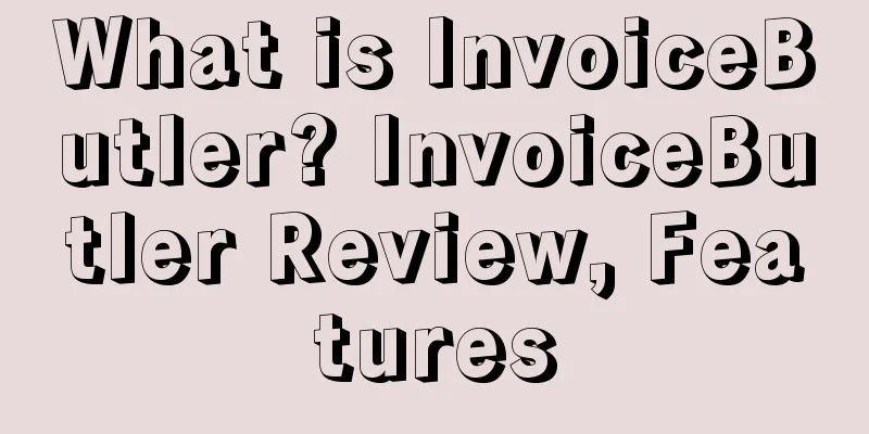 What is InvoiceButler? InvoiceButler Review, Features