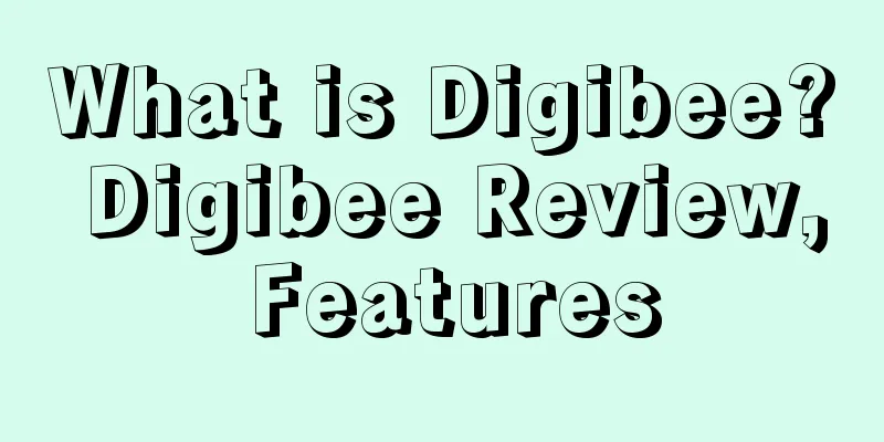 What is Digibee? Digibee Review, Features