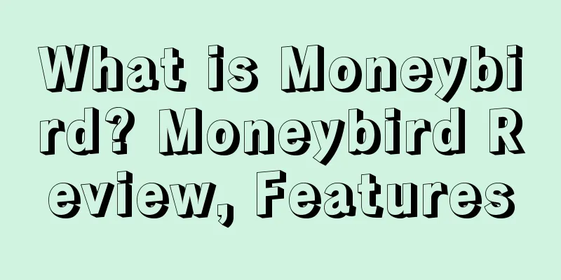 What is Moneybird? Moneybird Review, Features