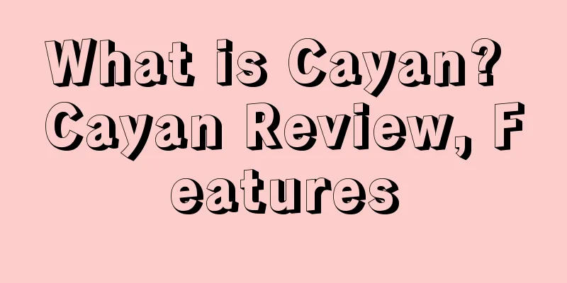 What is Cayan? Cayan Review, Features