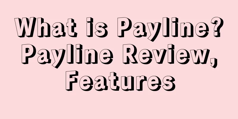 What is Payline? Payline Review, Features