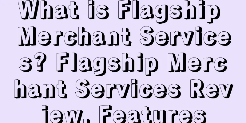 What is Flagship Merchant Services? Flagship Merchant Services Review, Features