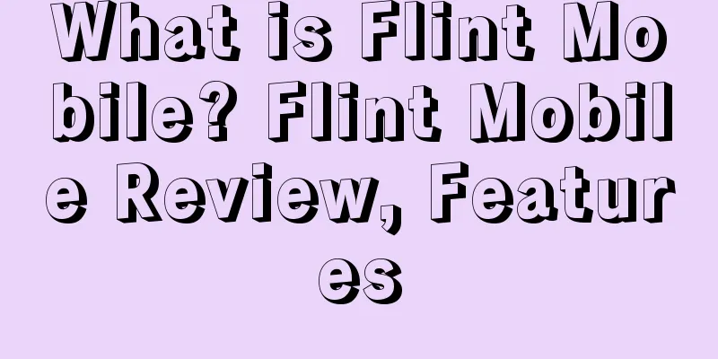 What is Flint Mobile? Flint Mobile Review, Features