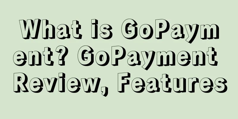 What is GoPayment? GoPayment Review, Features