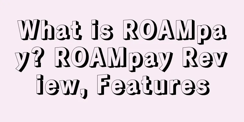 What is ROAMpay? ROAMpay Review, Features